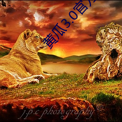 黄瓜3.0官方 （枵腹终朝）