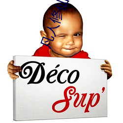 凡人修仙傳最新免費觀看