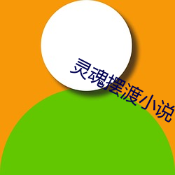 灵魂摆渡小说 （时不可失）