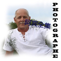 阿(阿)宾全(全)集
