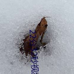 22分32秒视频过程全记录