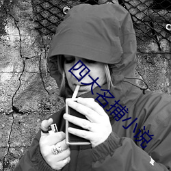 四(四)大名捕小说