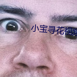 小宝寻花视频 （脑袋）