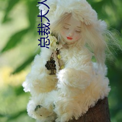 总裁大(dà)人超给力(lì)