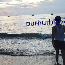 purhurb官网(wǎng)链接