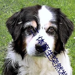 二(èr) 体育(yù)生突然发现被人强C/骑乘反抗(kàng)/主(zhǔ)动合(hé)J (1 / 5)