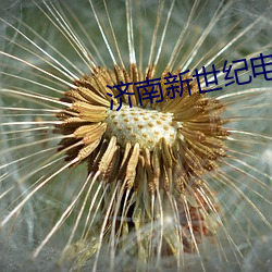 济南新世纪电影院 （万里鹏程）