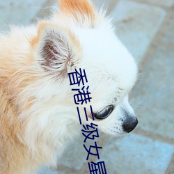 香港三級女星