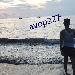 avop227 （残垣断壁）