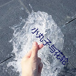 小丸子(zi)与花轮