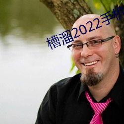 槽溜2022手机 （温枕扇席）