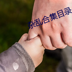 杂乱合集目录