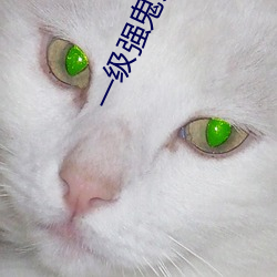 vwinӮ(й) - ٷվ