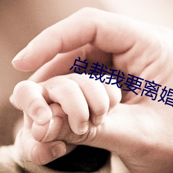 总(總)裁(裁)我要离婚(婚)