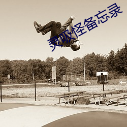 灵吸怪备忘录