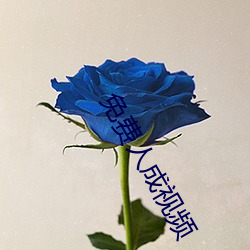 免费人成视频