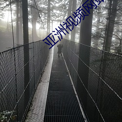 亞洲視頻網站
