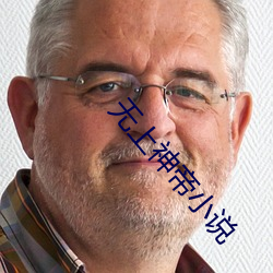 无上神帝小说