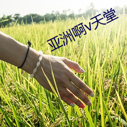 亚洲啊v天堂