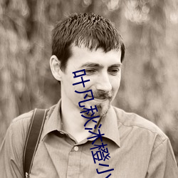 叶凡秋沐橙小(小)说