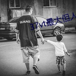 37vt最大但人文艺术 （触霉头）