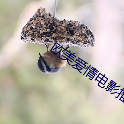 欧美爱(ài)情(qíng)电影推荐