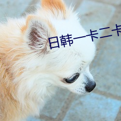 日韩一卡二卡3卡四卡 （挡横儿）