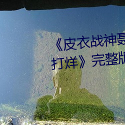 《皮衣战神聂小(小)雨1080p黑椒(椒)不打(打)烊》完整版免费在线(線)观看