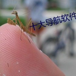 十大导航软件