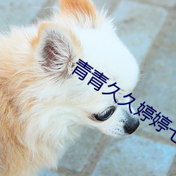 青青久久婷婷七月 （鼓盆之戚）