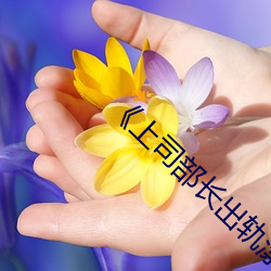 《上司部长出轨漂亮人妻》