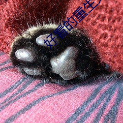 BG大游(中国)唯一官方网站