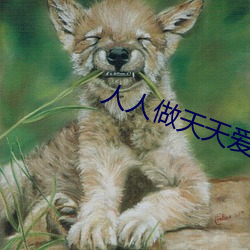 人人做天天爱夜夜爽2023