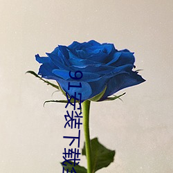 91安装下载全部