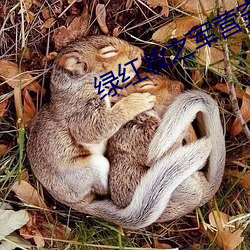 綠紅妝之軍營穿越