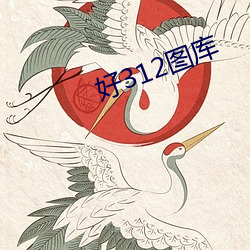 好312图(tú)库