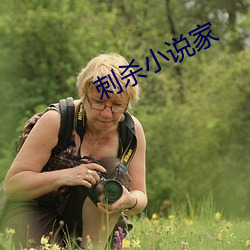 刺殺小說家
