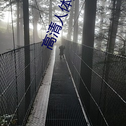 高清人体摄影