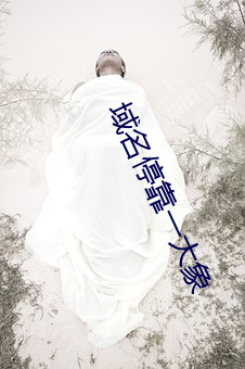 域名停靠一大象