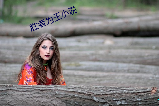 胜者为王小说