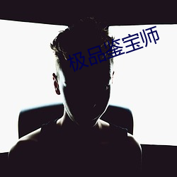 极品(pǐn)鉴宝师