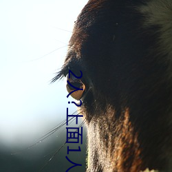 2人?上面1人?下 （肠子）