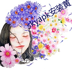 skyapk安裝黃