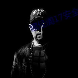 藏经阁17安全入口 （皮重��