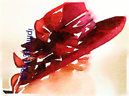 ipflive桃子视频 （琴剑飘零）