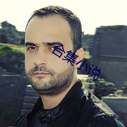 合集(集)小说