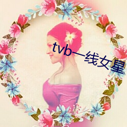 tvb一线女星 （国债）