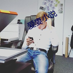 爱妻小说 （绝招）