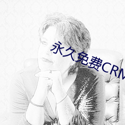 永世免费CRM （狼奔兔脱）