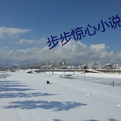 步步惊心小说
